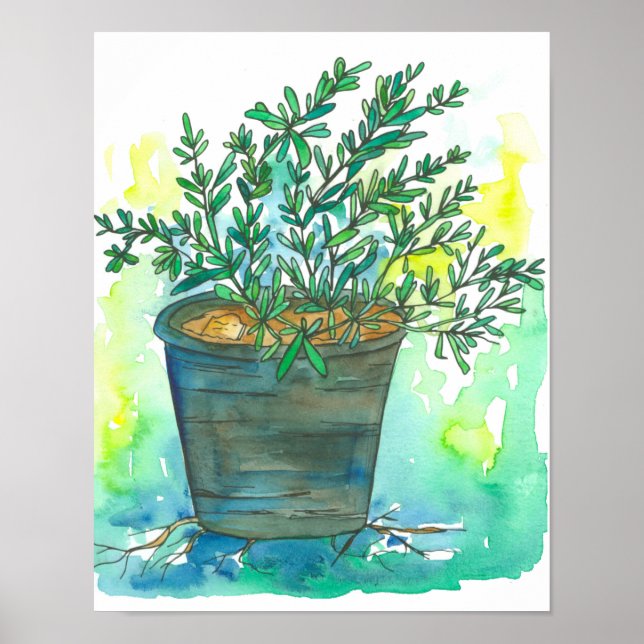 Herb Garden Rosemary Poster (Vorne)