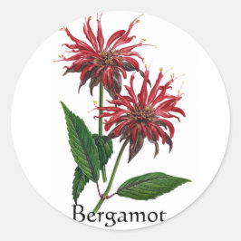 Herb Garden Series - Bergamot Runder Aufkleber
