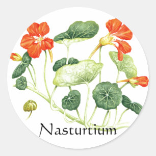 Herb Garden Series - Nasturtium Runder Aufkleber
