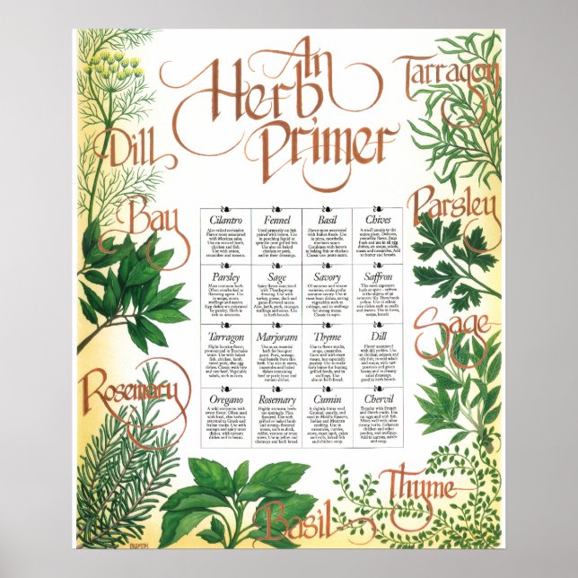 Herb Primer Plakatdruck Poster (Vorne)