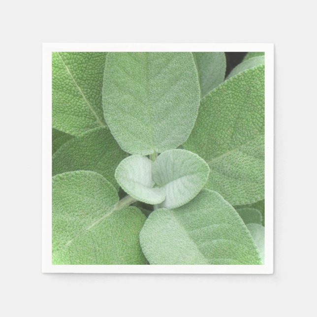Herbal Napkin Serviette (Vorderseite)