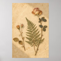 Herbarium Cottagecore Kunstprint