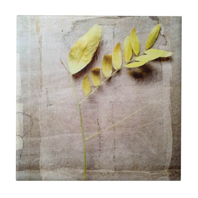 Herbarium V Fliese (Vorderseite)