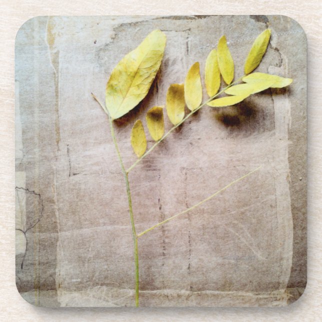 Herbarium V Getränkeuntersetzer (Vorderseite)