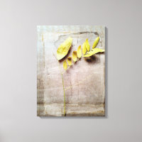Herbarium V
