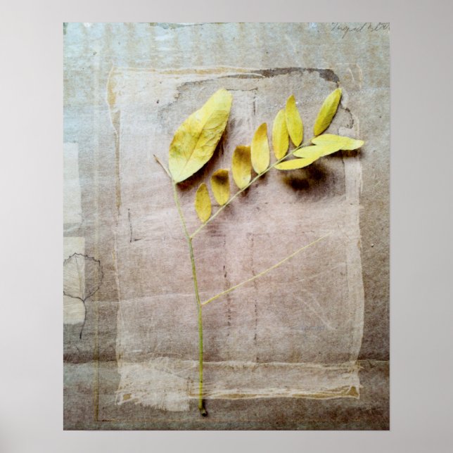 Herbarium V Poster (Vorne)