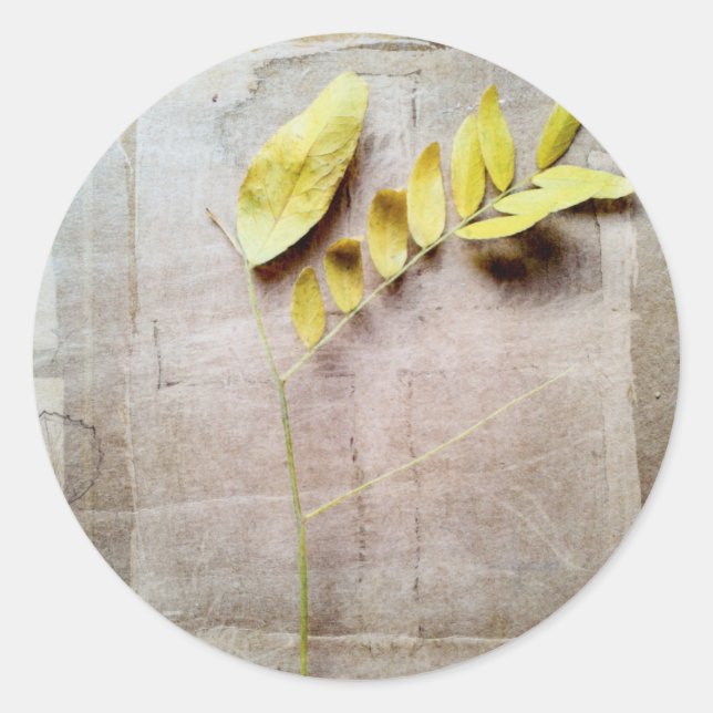 Herbarium V Runder Aufkleber (Vorderseite)