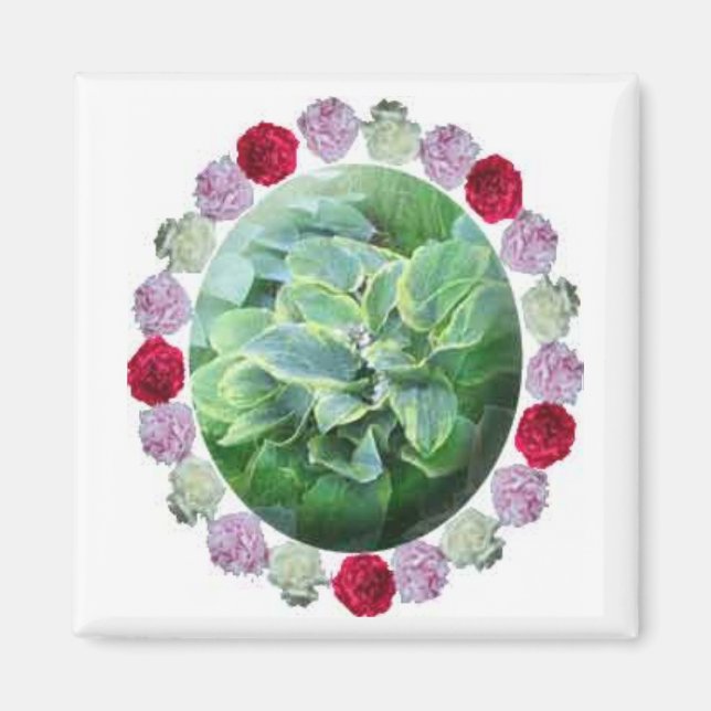Herberge mit rotem, weißem Rosa, Peonings Gartenma Magnet (Vorne)