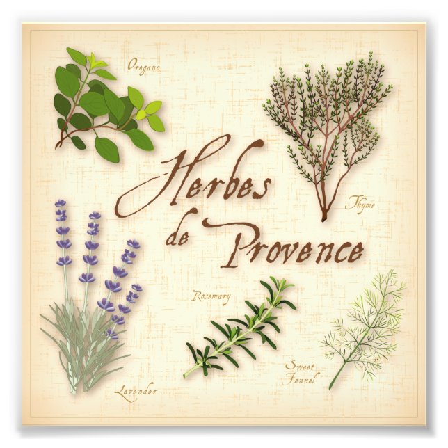 Herbes de Provence Foto Print (Vorne)