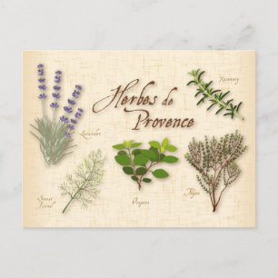 Herbes de Provence Postcard Postkarte