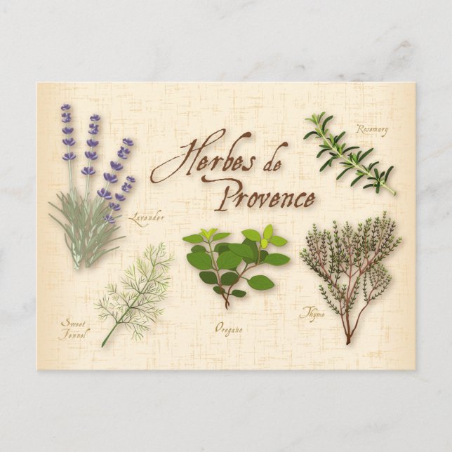 Herbes de Provence Postcard Postkarte (Vorderseite)