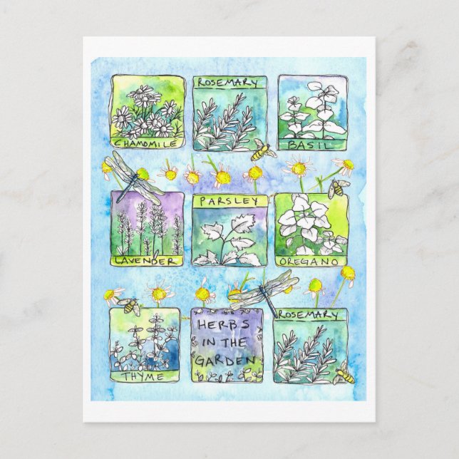 Herbs Garden Dragonfis Honey Bees Watercolor Postkarte (Vorderseite)