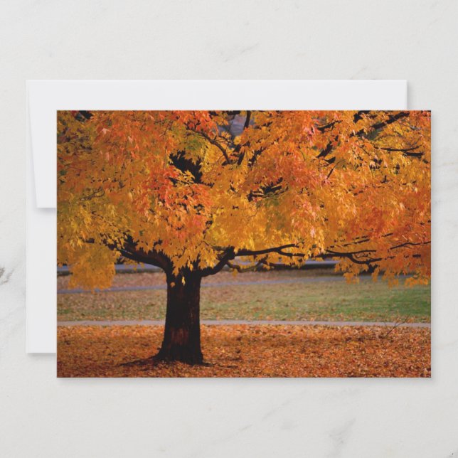 Herbst (1) (Vorderseite)