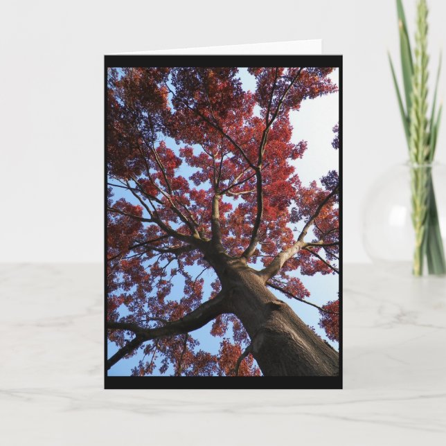 Herbst ~ 18 karte (Vorderseite)