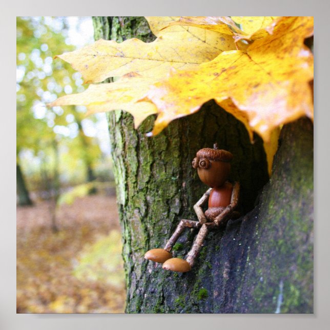 Herbst-Acorn-Elf sitzend auf Ahornbaum Poster (Vorne)
