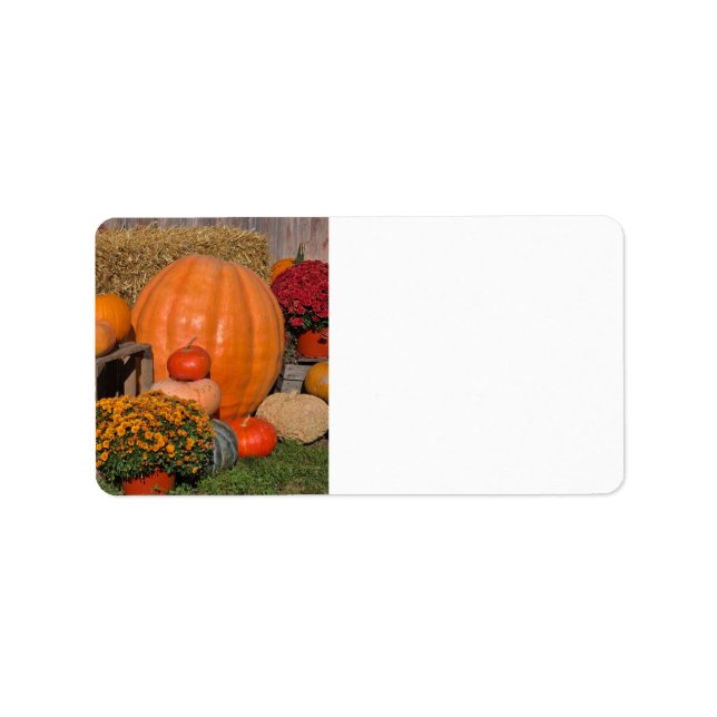 Herbst Adressaufkleber (Vorne)