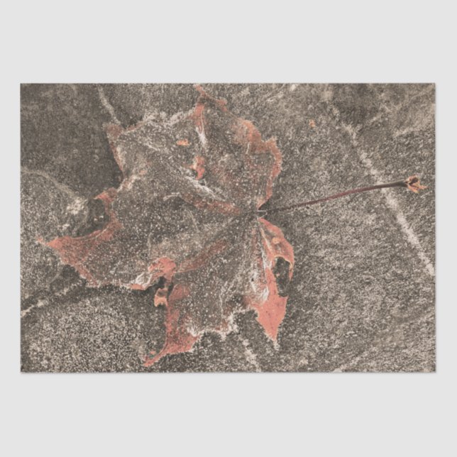 Herbst Ahorn Leaf Vintag Sepia Herbst Seidenpapier (Vorderseite)