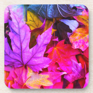 Herbst-Ahornbaum-Blätter farbenfrohe Herbst-Natur Getränkeuntersetzer
