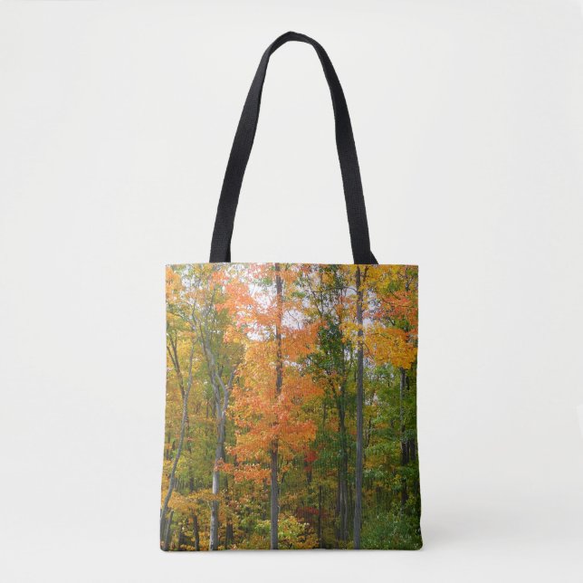 Herbst-Ahornbäume Herbstfotografie (Vorderseite)