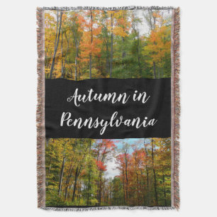 Herbst-Ahornbäume Herbstfotografie Decke