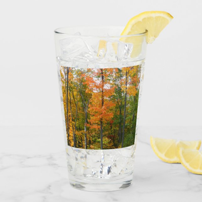 Herbst-Ahornbäume Herbstfotografie Glas (Rückseite Ice)