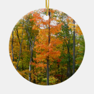 Herbst-Ahornbäume Herbstfotografie Keramikornament