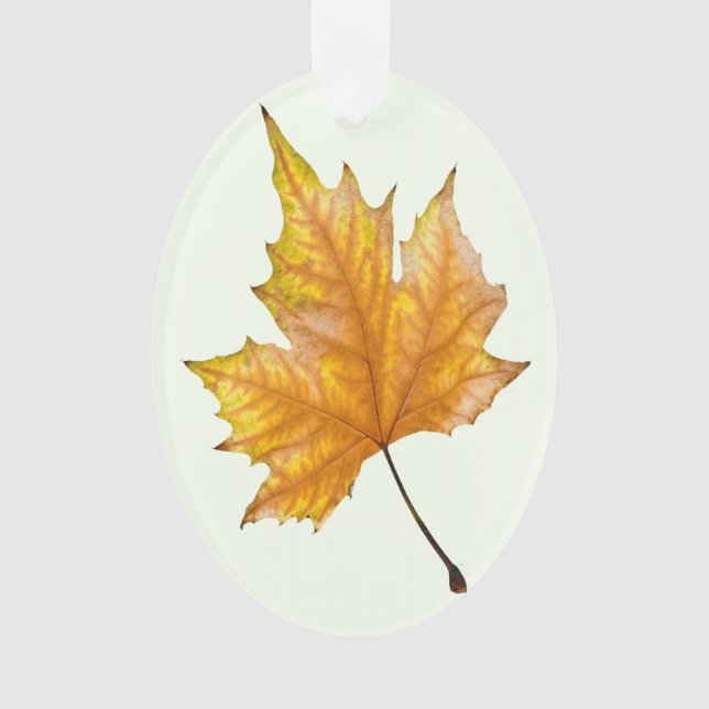Herbst-Ahornblatt Ornament (Vorderseite)