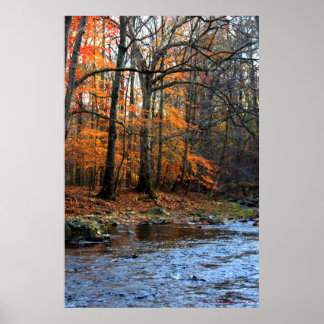 Herbst am Bach Druck #154 Poster