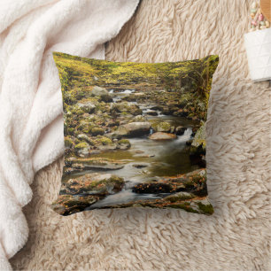 Herbst am Big Creek Kissen