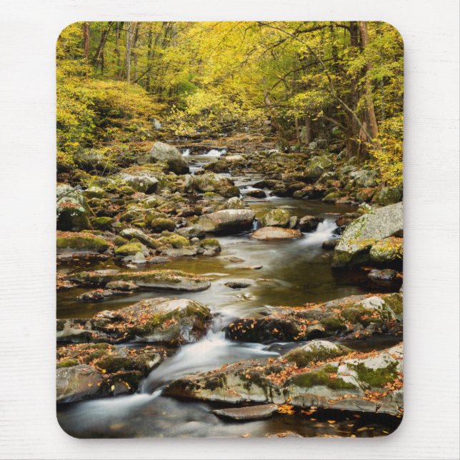 Herbst am Big Creek Mousepad (Vorne)