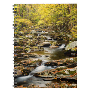 Herbst am Big Creek Notizblock