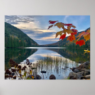 Herbst am Bubble Pond in Acadia Poster