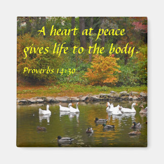 Herbst am Duckteich Magnet