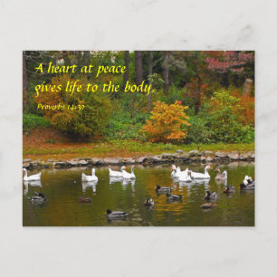 Herbst am Duckteich Postkarte
