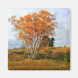 Herbst am Lake Michigan Magnet