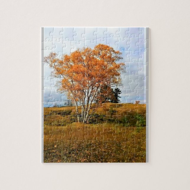 Herbst am Lake Michigan Puzzle (Vertikal)