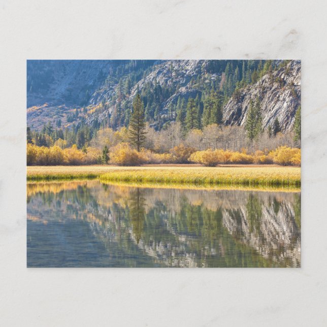 Herbst am See Postkarte (Vorderseite)
