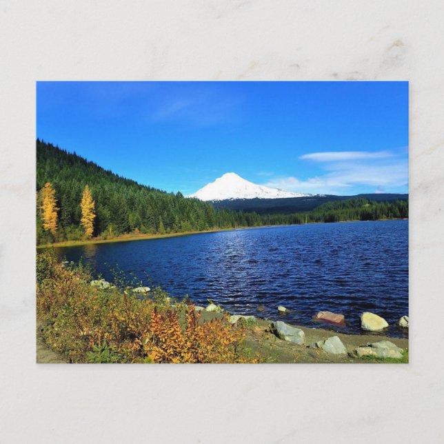 Herbst am See Trillium oder Postkarte (Vorderseite)