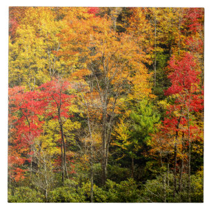 Herbst am Sims Pond North Carolina, Blue Ridge Fliese