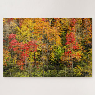 Herbst am Sims Pond North Carolina, Blue Ridge Puzzle