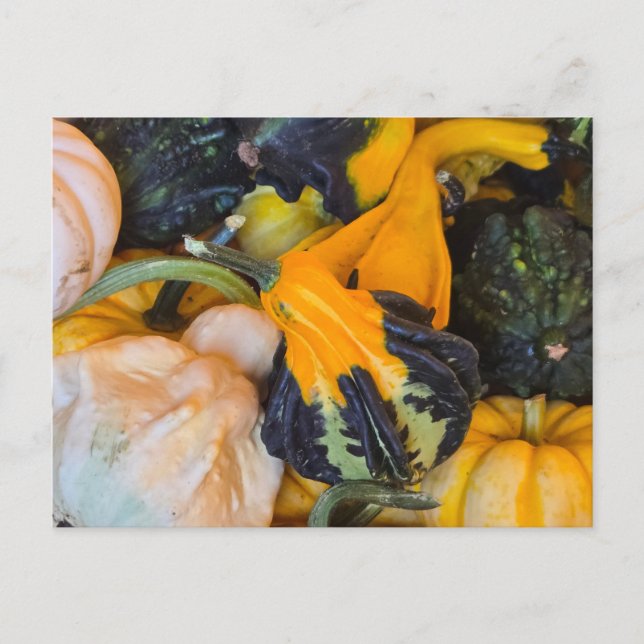 Herbst Ankündigungspostkarte (Vorderseite)