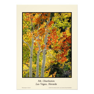 Herbst Aspen 20" Mt. Charleston Nanovolt" Plakat Fotodruck