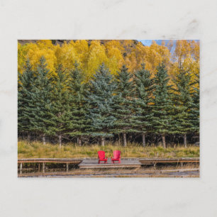Herbst-Aspen Postkarte