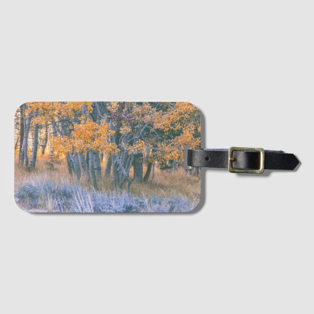 Herbst-Aspenwald-Landschaft Gepäckanhänger (Vorderseite (Horizontal))