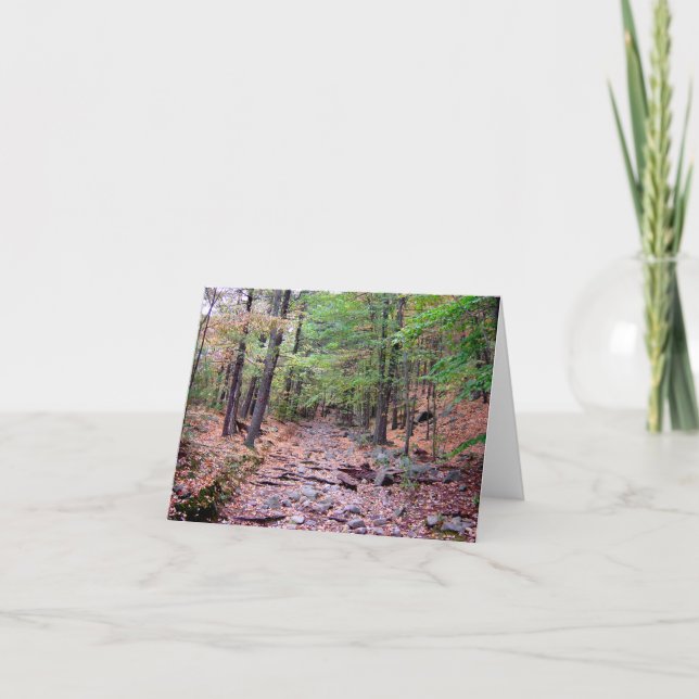 Herbst auf Blue Hills Reservation Red Dot Trail (Vorderseite)
