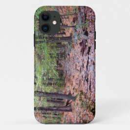 Herbst auf Blue Hills Reservation Red Dot Trail Case-Mate iPhone Hülle