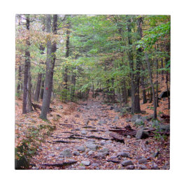 Herbst auf Blue Hills Reservation Red Dot Trail Fliese