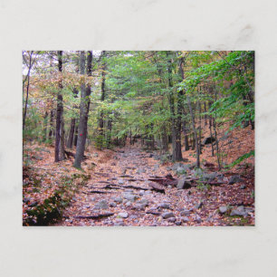 Herbst auf Blue Hills Reservation Red Dot Trail Postkarte