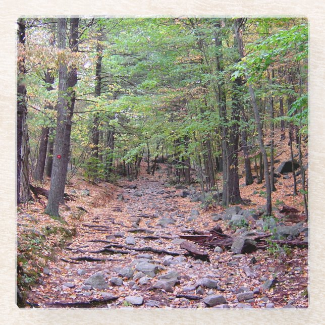 Herbst auf Blue Hills Reservierung Red Dot Trail Glasuntersetzer (Vorderseite)
