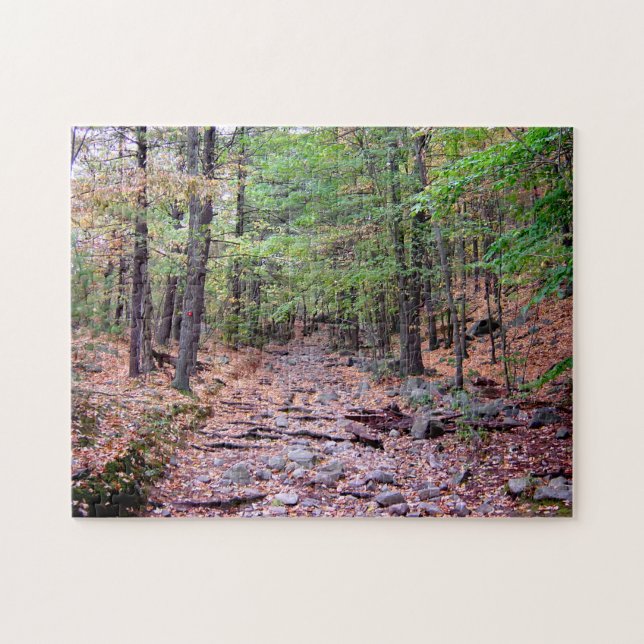 Herbst auf Blue Hills Reservierung Roter Dot Trail Puzzle (Horizontal)